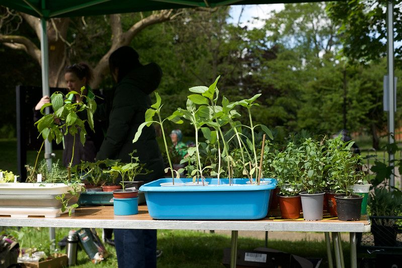 Plant stall